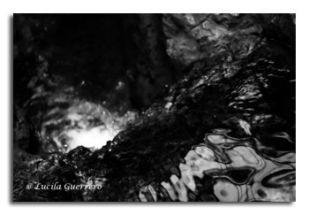 viequotidienne-84-320-px