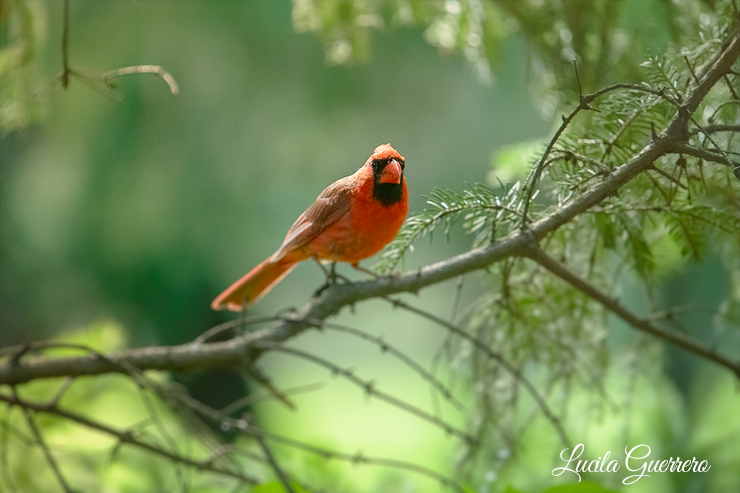 À quoi rêvent les enfants pour&nbsp;2021?