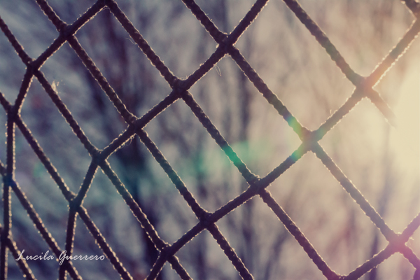 Le non-autisme de Joseph Facal (et certains&nbsp;autres)