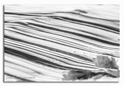 Attention! vous parlez à un&nbsp;autiste