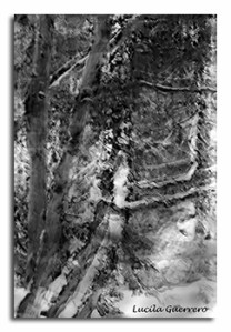 naturemono-50-320-px