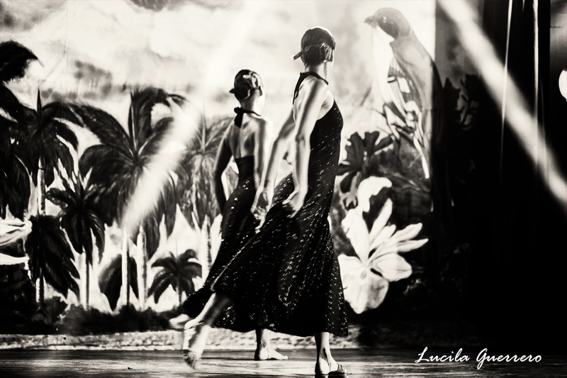 Le mentorat d’une&nbsp;paire-aidante