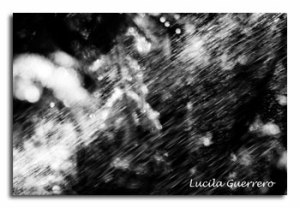 viequotidienne-101-320-px