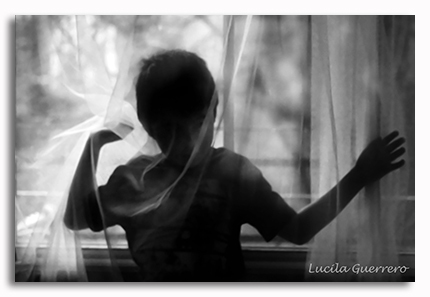 Les autistes et les&nbsp;fenêtres