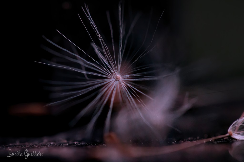 Vie familiale en temps de&nbsp;Covid19