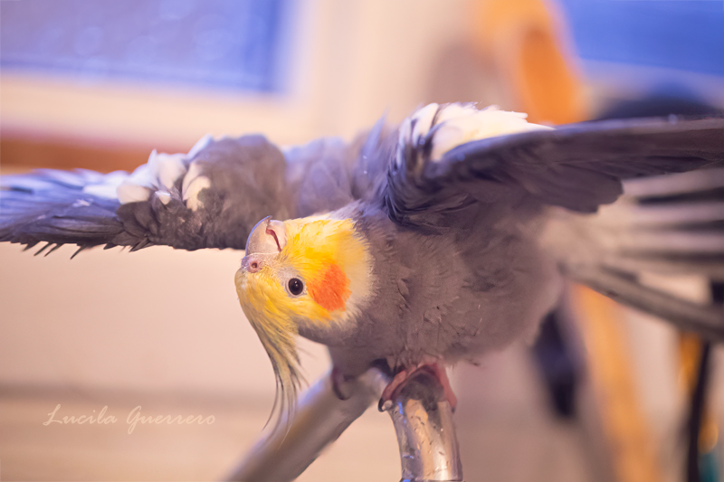 Chasser les blues d’avril : le mois des droits des&nbsp;autistes