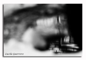 viequotidienne-92-320-px