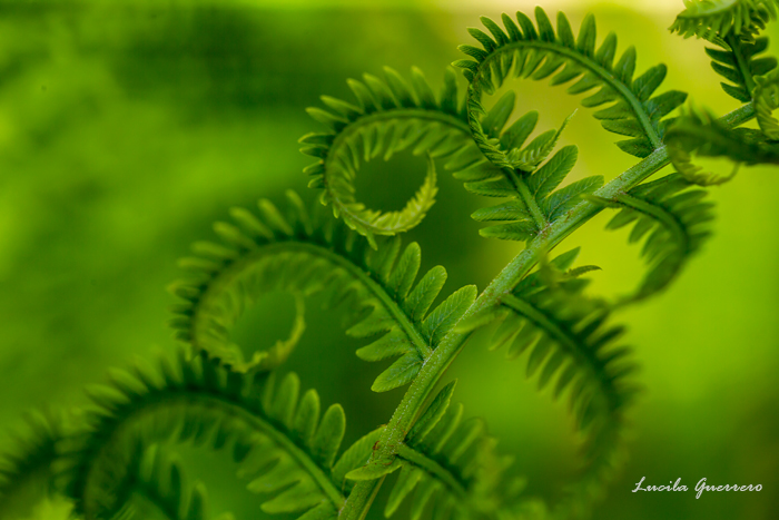Autistes. Et leur santé mentale ?