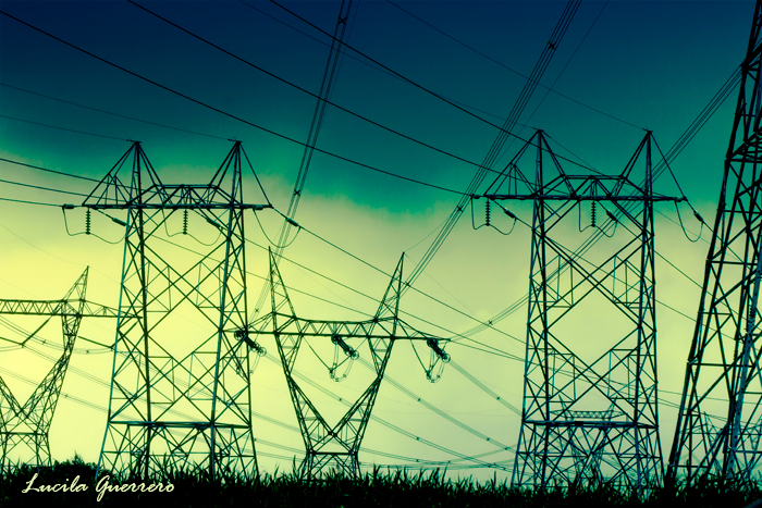 Rétablissement et neurodiversité : deux approches complémentaires et&nbsp;essentielles