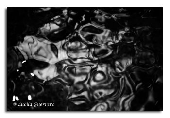 viequotidienne-85-320-px