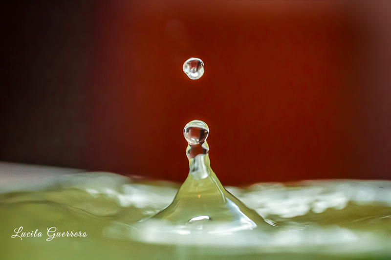 Participation dans des études recherche