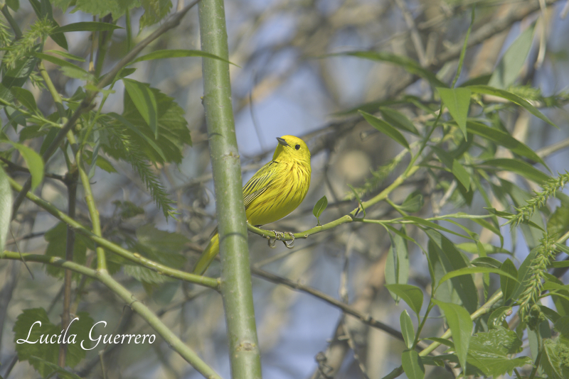 De plus. Difficile de dire &laquo;&nbsp;je suis désolée&nbsp;&raquo;