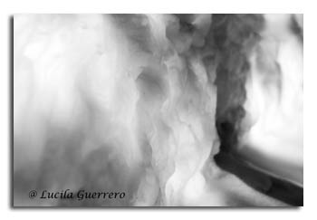 viequotidienne-76-320-px